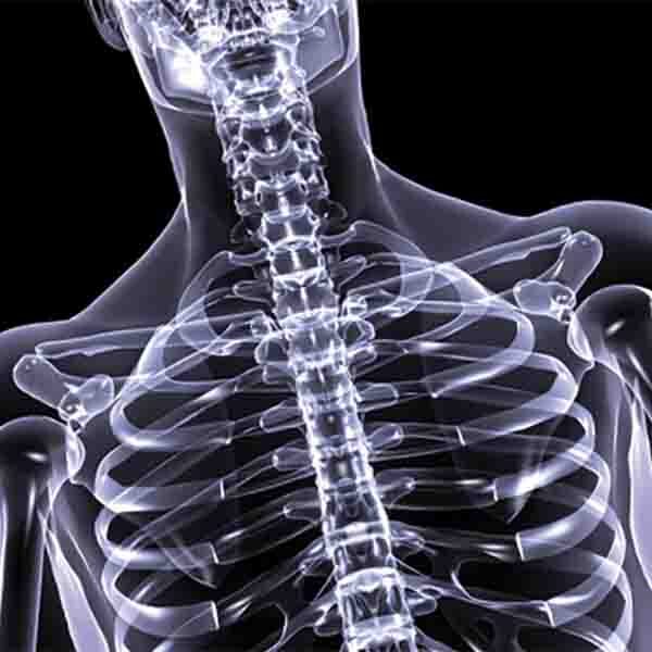 Medical